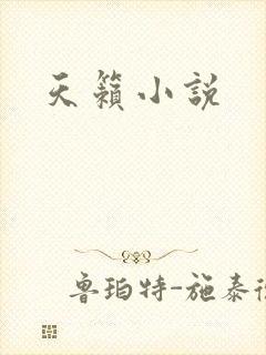 天籁小说