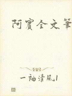 阿宾全文笔趣阁封面