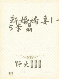 新婚娇妻1一25李晶