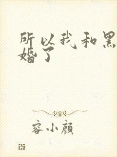 所以我和黑粉结婚了封面