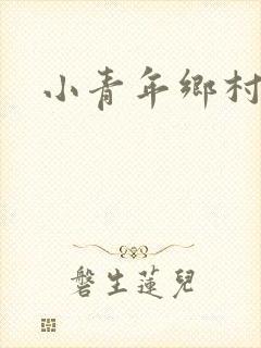 小青年乡村猎艳封面