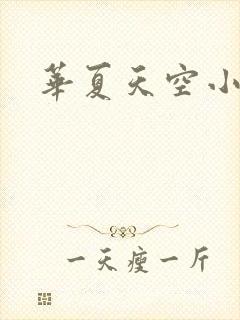 华夏天空小说网