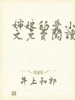 婶娘的爱小说全文免费阅读