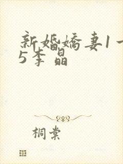 新婚娇妻1一25李晶封面