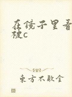 在镜子里看自己被c