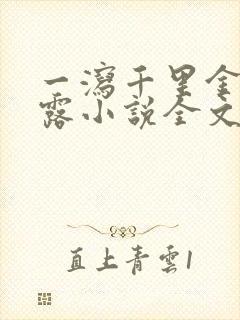 一泻千里金银花露小说全文免费阅读封面