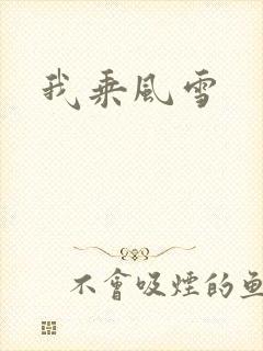 我乘风雪封面
