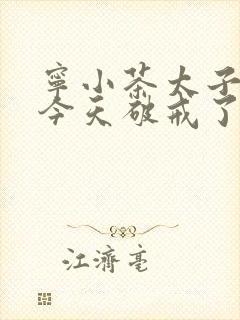 宁小茶太子殿下今天破戒了吗免费阅读封面