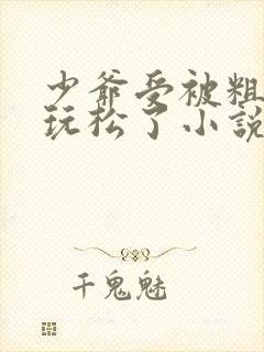 少爷受被粗汉H玩松了小说封面