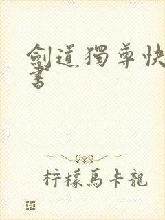 剑道独尊快眼看书封面