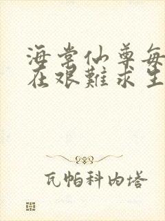 海棠仙尊每天都在艰难求生封面