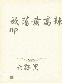 放荡黄高辣h文np封面