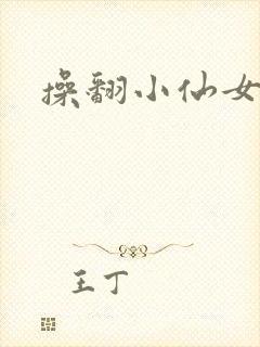 操翻小仙女封面