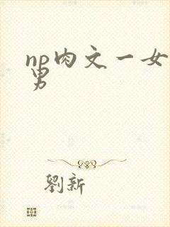 np肉文一女多男