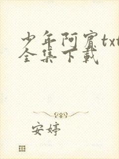 少年阿宾txt全集下载