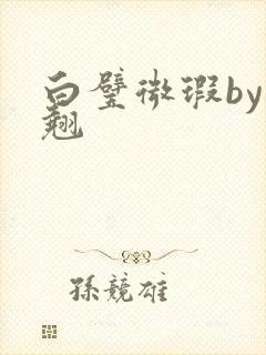 白璧微瑕by连翘