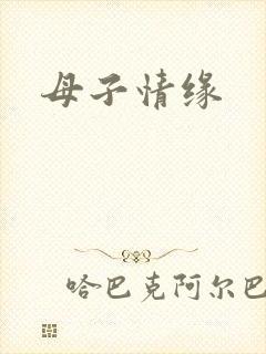 母子情缘封面