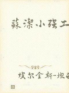 苏洁小强工地情