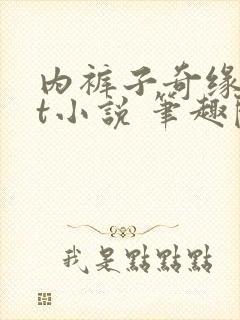 内裤子奇缘txt小说 笔趣阁