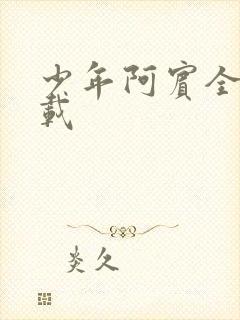 少年阿宾全集下载