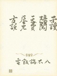 方辰天阳子的小说免费阅读封面