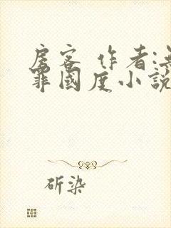 房客 作者:无罪国度小说全文免费封面