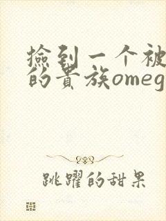 捡到一个被抹布的贵族omega