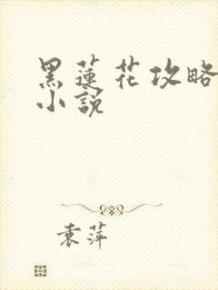 黑莲花攻略手册小说封面