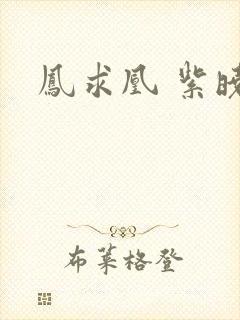 凤求凰 紫晓封面