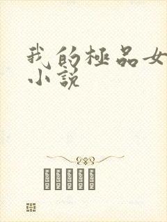 我的极品女老师小说