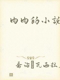 肉肉的小说