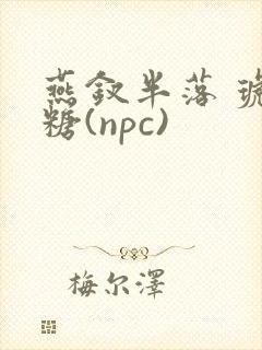 燕钗半落 琥珀糖(npc)