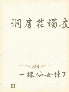 洞房花烛夜小说