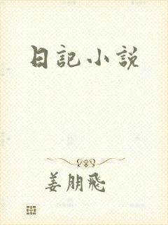 日记小说封面