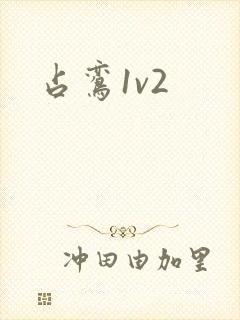占鸾1v2