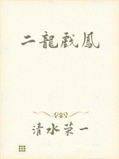 二龙戏凤