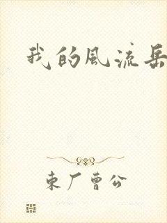 我的风流岳每封面