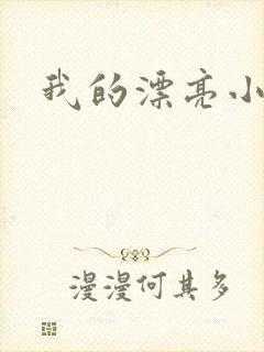 我的漂亮小后妈