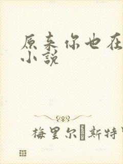 原来你也在这里小说