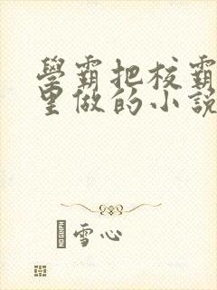 学霸把校霸往死里做的小说