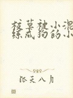 校草被小混混训练成狗的小说