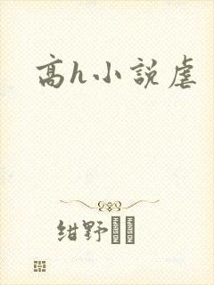 高h小说虐