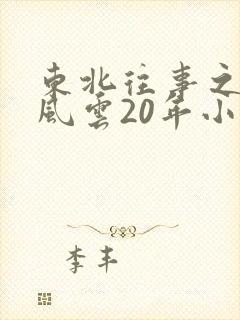 东北往事之黑道风云20年小说