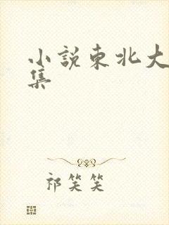 小说东北大炕全集封面