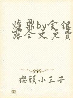 炉鼎by金银花露全文免费阅读笔趣阁