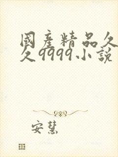 国产精品久久久久9999小说