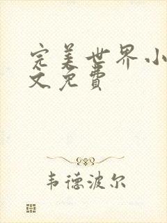 完美世界小说全文免费封面