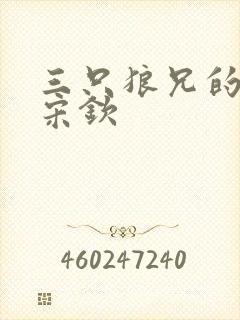 三只狼兄的宠妻宋钦