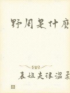 野周是什么意思