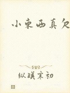 小东西真欠弄